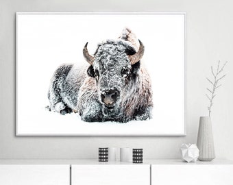 Bison Print Bison Snow Printable Wall Art Digital Download Cow Print Calf Rustic Poster Cow Farm Decor Bison Poster Winter Snow Bison Print