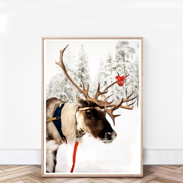 Christmas Wall Art Reindeer Print Holiday Decor 24x36 Print Winter Reindeer Nursery Wall Art Scandinavian Print Christmas Deer Photography