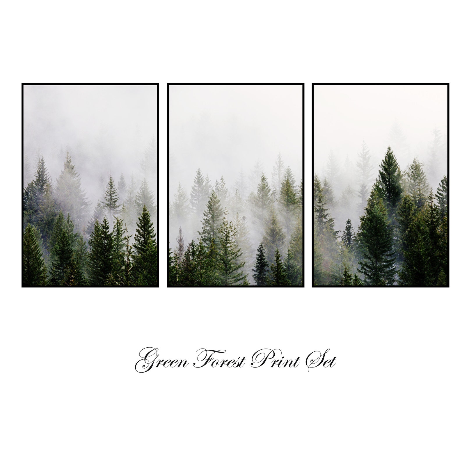 Forest 3 Piece Wall Art Misty Forest Gallery Wall Set | Etsy