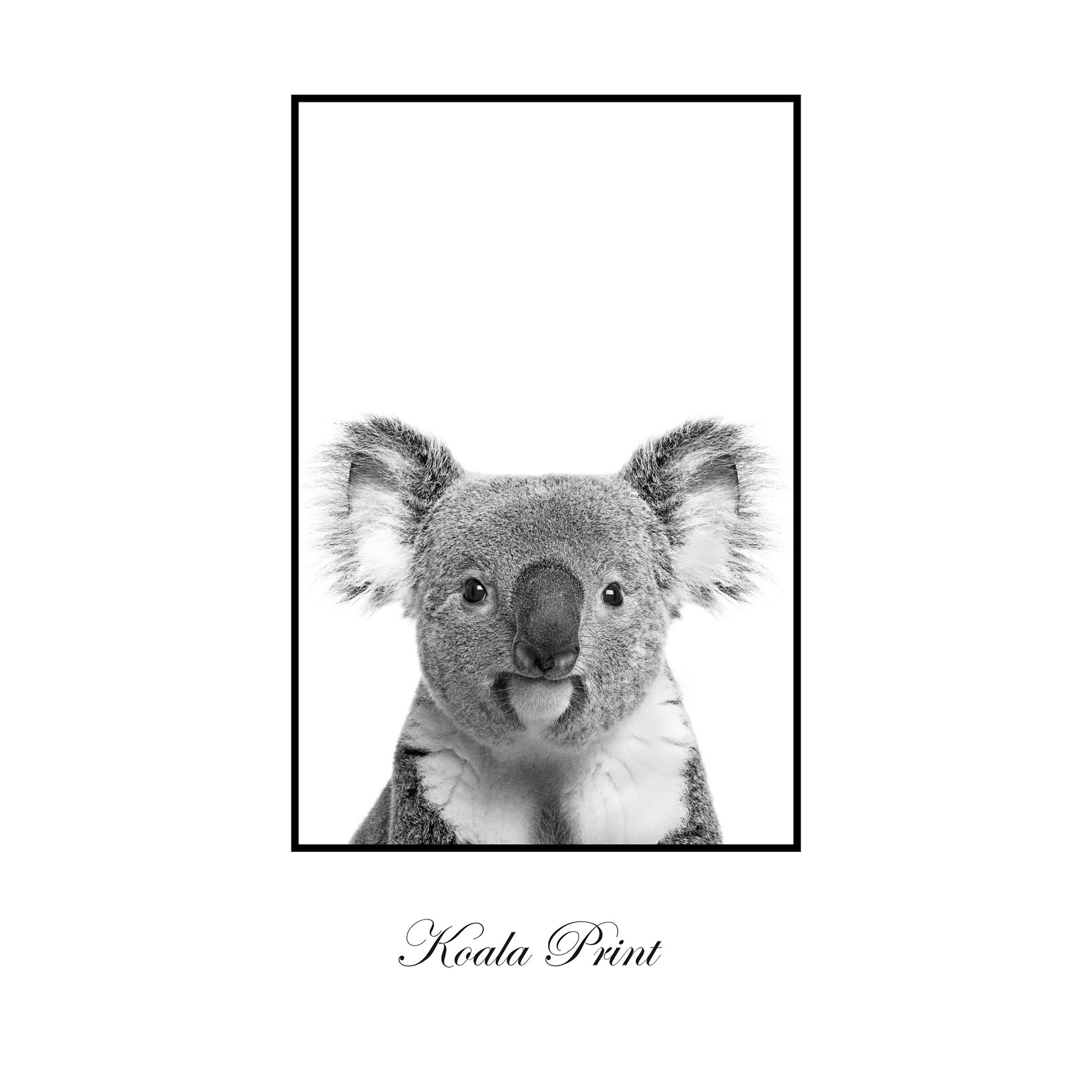 Koala Print Australian Animal Koala Bear 24x36 Print Koala Etsy