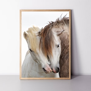 Horse Print Two Horse Wall Art Horse Poster Equestrian Print Funny Animal Horses Print 24x36 Print Farmhouse Wall Decor