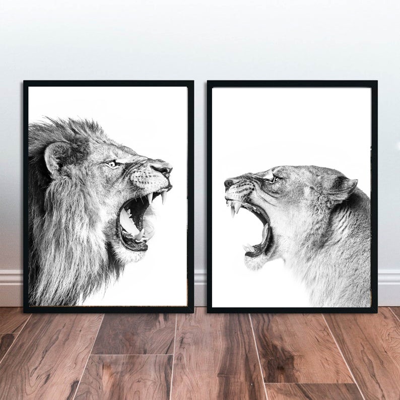 Lion Print Lions Printable Wall Art Set Lion 24x36 Print Two Lions Black White Photo Funny Lion Large Print Safari Living Decor Lions Print image 4