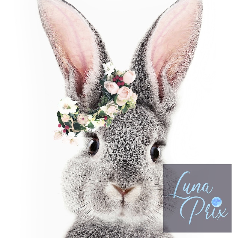 Bunny Flower Crown Rabbit Art Bunny Print Bunny Art Baby Etsy