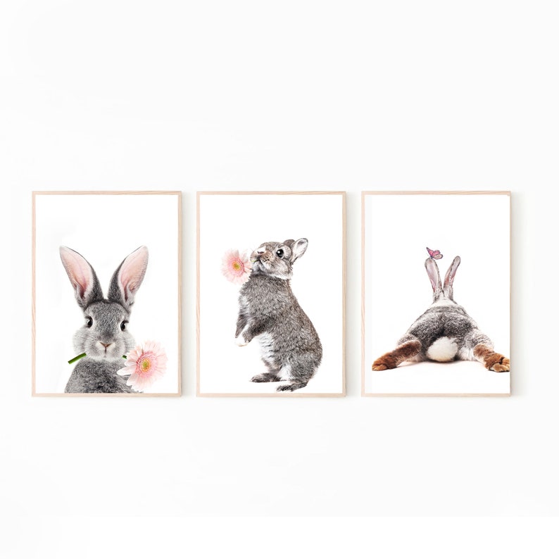 Rabbit Print 3 Piece Wall Art Nursery Wall Decor Digital Art Girl Room Decor Baby Animal Prints Rabbit Art Bunny Poster Nursery Wall Art Set image 7