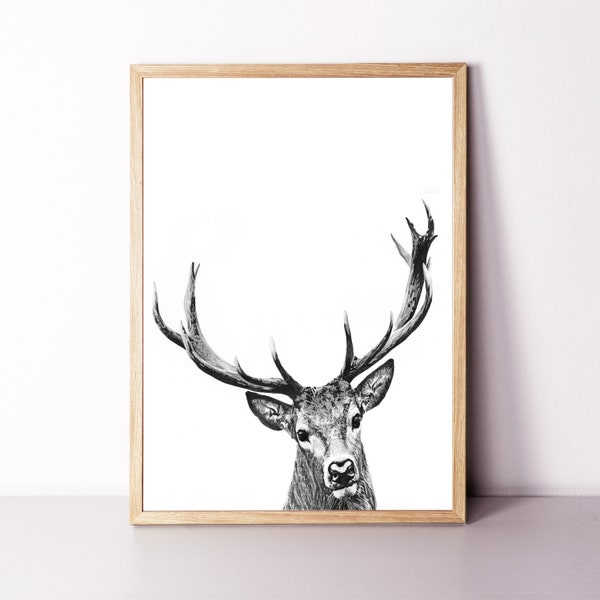 Deer Print, Deer Wall Art Farmhouse Wall Art Deer Antlers Print, Woodland Animal Print Christmas Deer Poster Watercolor Picture Framed Print