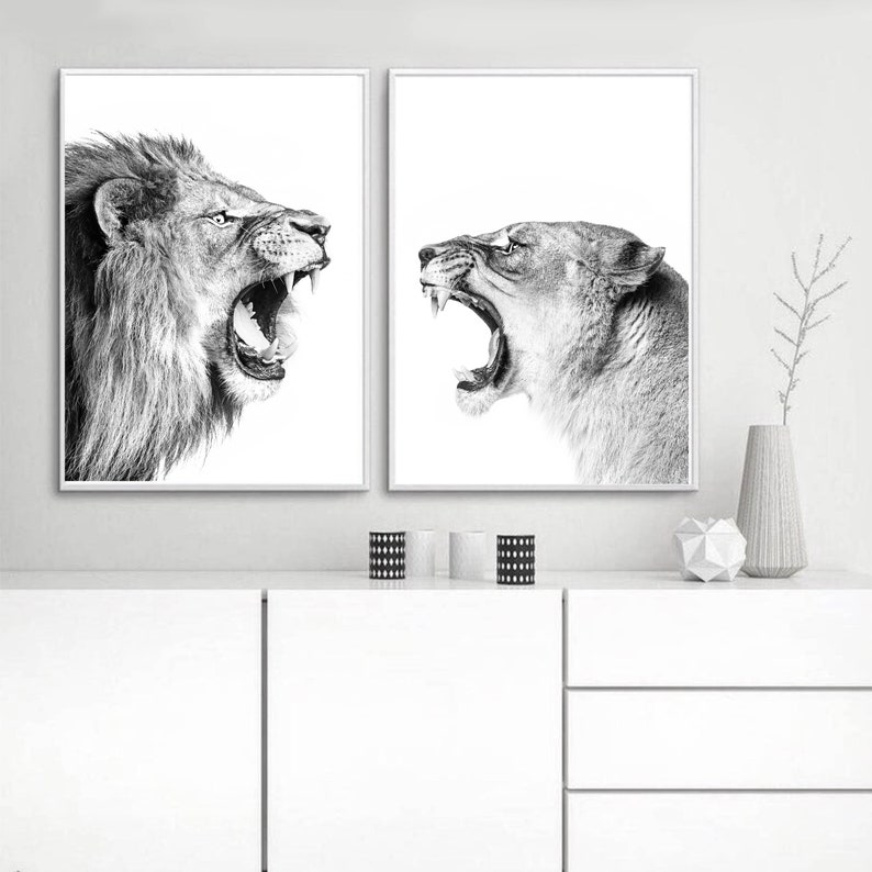 Lion Print Lions Printable Wall Art Set Lion 24x36 Print Two Lions Black White Photo Funny Lion Large Print Safari Living Decor Lions Print image 3