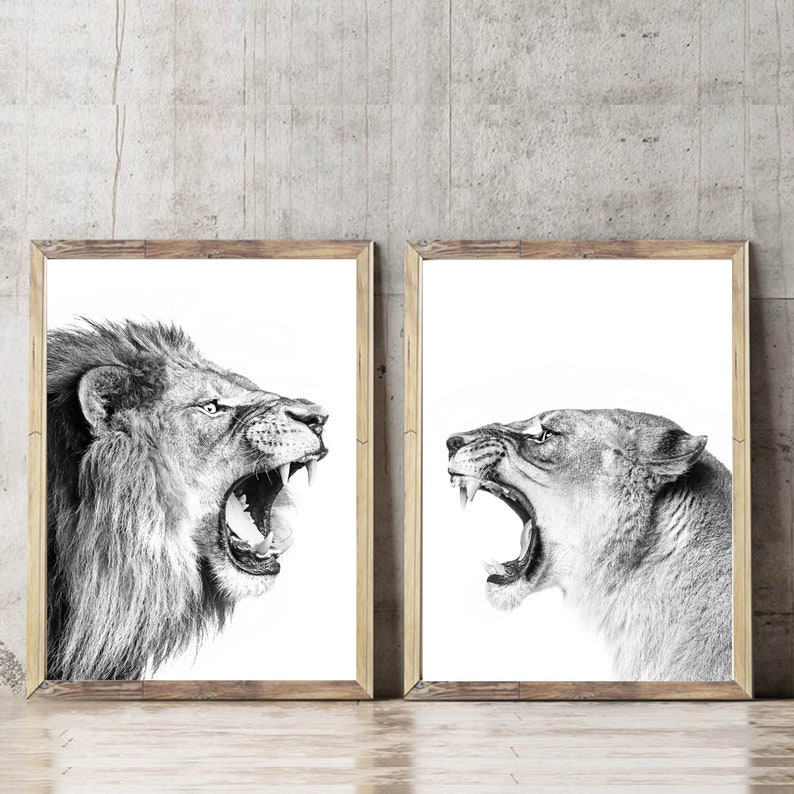 Lion Print Lions Printable Wall Art Set Lion 24x36 Print Two Lions Black White Photo Funny Lion Large Print Safari Living Decor Lions Print image 2