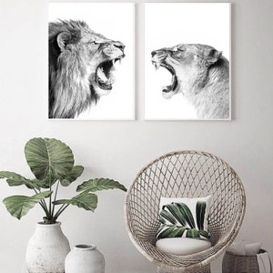 Lion Print Lions Printable Wall Art Set Lion 24x36 Print Two Lions Black White Photo Funny Lion Large Print Safari Living Decor Lions Print image 5