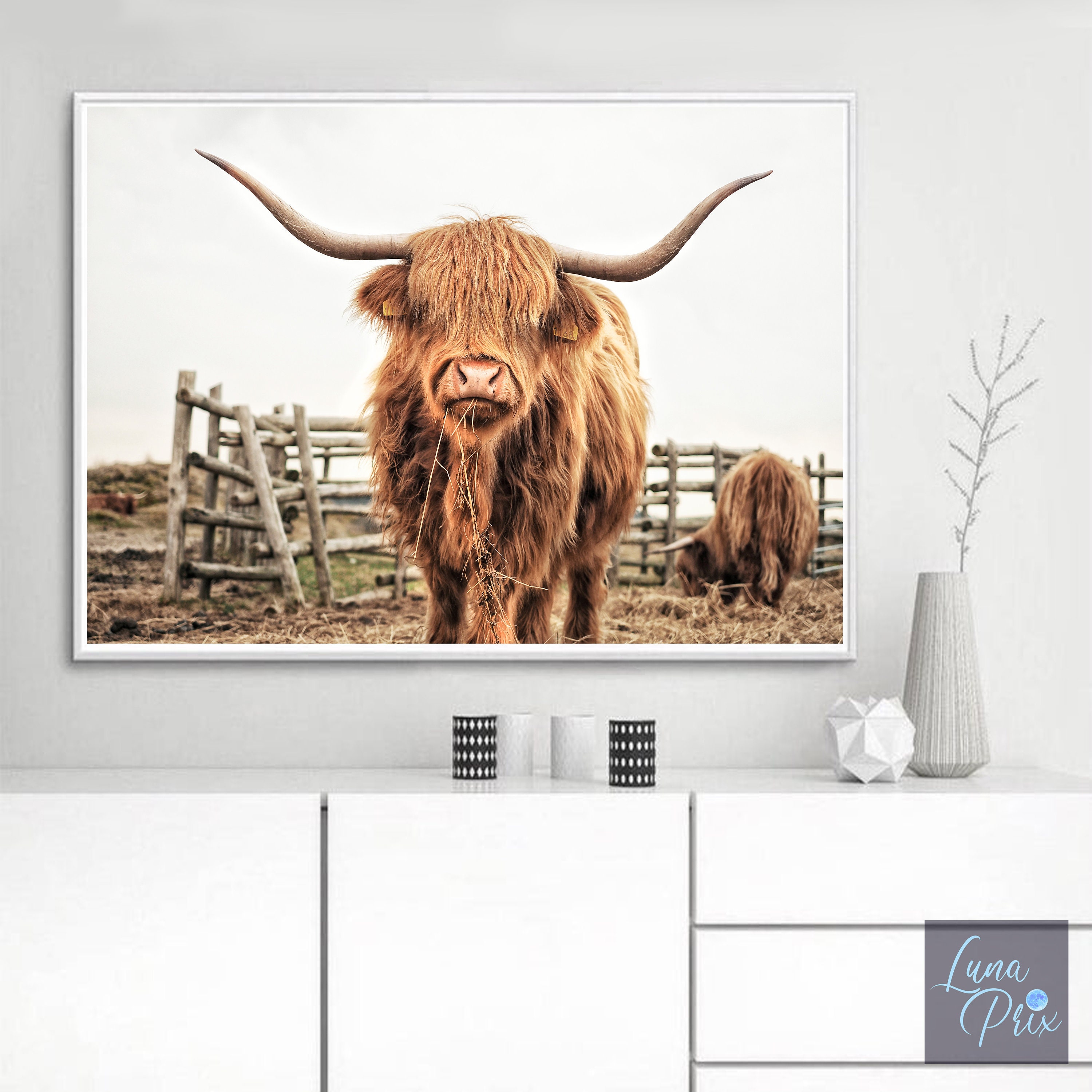 Cow Print Highland Cow Wall Art Shaggy Cow Photography Digital | Etsy