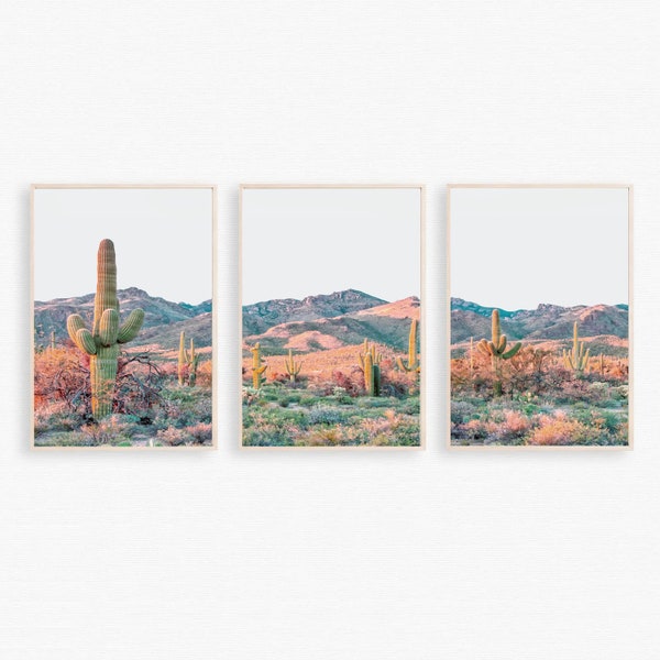 Paysage du désert 3 pièces Décoration murale Nature Triptyque Cactus Ensemble de 3 affiches Impressions sur toile du désert 24 x 36 Impression Désert Photo Cactus Décoration murale