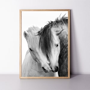 Horse Print Equestrian Wall Art Two Horses Print Farmhouse Wall Decor Framed Print 24x36 Print Funny Animal Large Wall Art Horse Photography