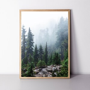 Forest Print Framed Print Nature Wall Art 24x36 Print Scandinavian Wall Art Misty Forest Large Wall Art Foggy Forest Print Spruce Tree Print