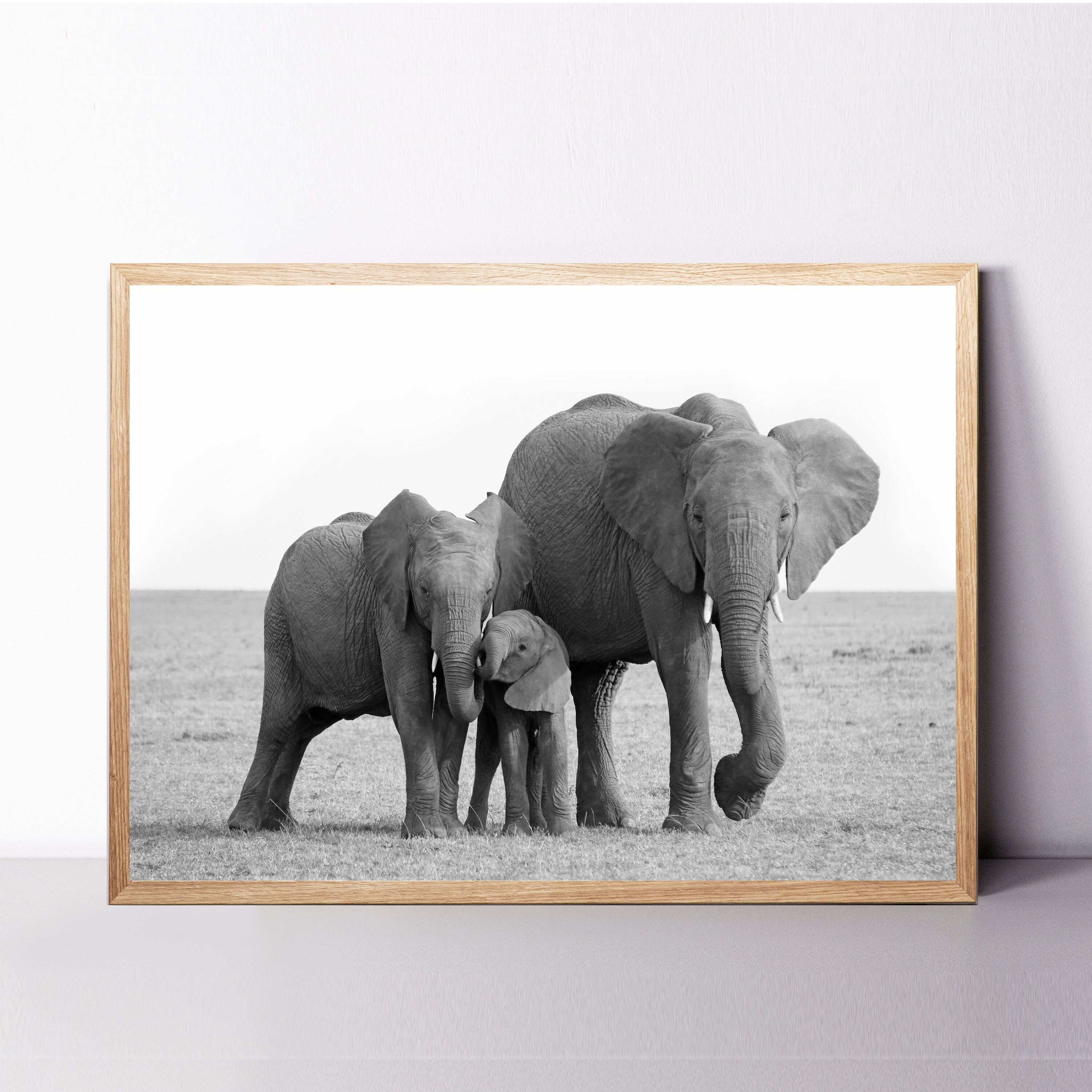 My Patronus Is An Elephant Gifts Baby Elephant' Sticker