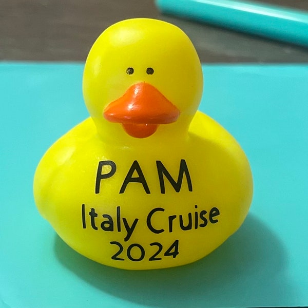 Custom Rubber Duck Name, Custom Cruise Duck, Duck for Jeep, Kids Duck Custom, Novelty Rubber Duck Toy Personalized, Youve Been Ducked