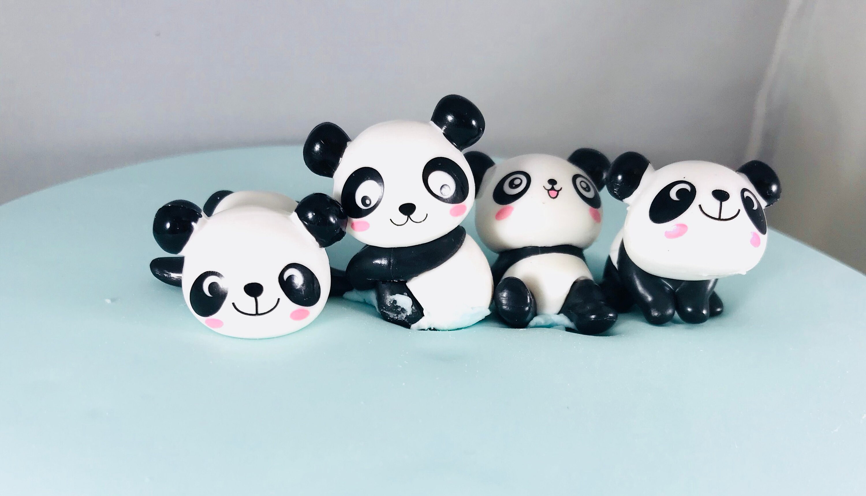 Kit Natasha Panda – 100 Opcoes