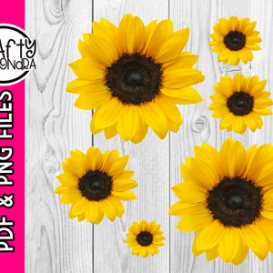以下が含まれることがあります： 白木の背景に配置された、濃い茶色の中心を持つ黄色のヒマワリのコレクション。画像には、「Crafty Cassondra」というテキストと「PDF＆PNG FILES」という単語が縦向きに配置されたロゴが含まれています。