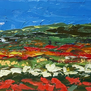 Campos de tulipanes IV