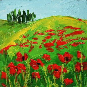 CAMPOS DE AMAPOLAS...