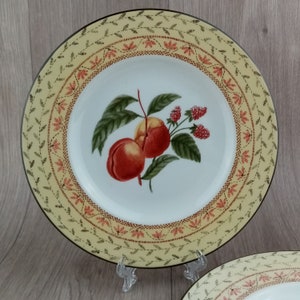 Set de 2 piezas de muestrarios de frutas vintage Johnson Brothers, vajilla vintage de diseño rústico, 21,5 cm de diámetro.