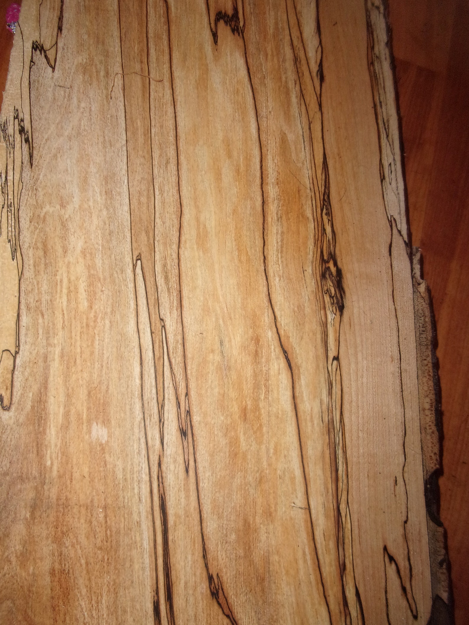Spalted Sugar Maple Lumber 19/16 9002 Etsy