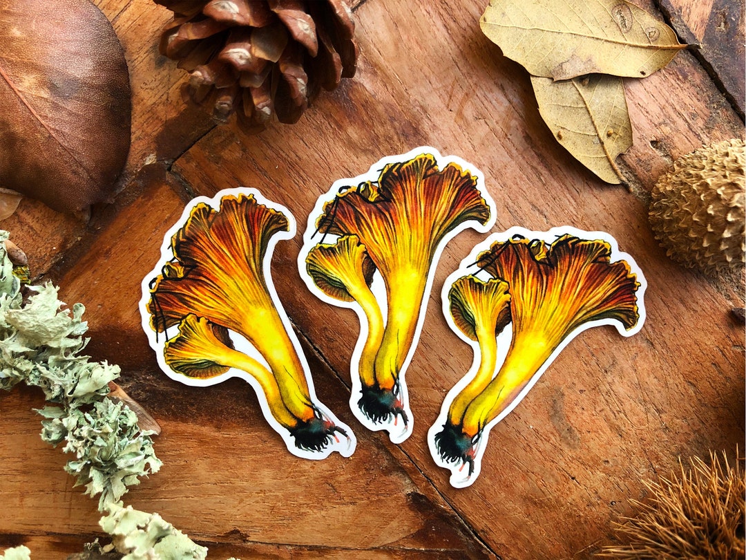 Laptop Chanterelle Mushroom Stickers Set Vinyl Mushroom Etsy