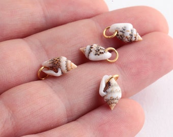 Pendentif Shell 6.5x12mm pcs avec conque, jante conque électroplaquée, coquillage naturel, collier et fournitures de bijoux Résultats- GLD-239