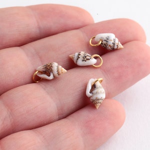 6 pcs 6.5x12mm Shell Pendant with Conch, Electroplated Conch Rim, Natural Seashell, Necklace and Jewelry Supplies Findings- GLD-239