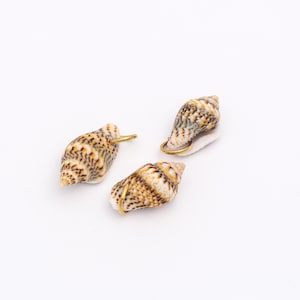 Puede incluir: Tres pequeñas conchas marinas cónicas con intrincados patrones moteados en marrón, bronceado y blanco. Cada concha está equipada con una pequeña anilla de metal dorado en la parte superior, lo que permite que funcionen como dijes de joyería.