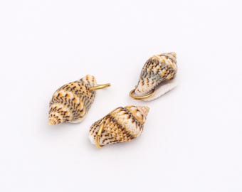 May include: Three small, conical sea shells featuring intricate brown, tan, and white speckled patterns. Each shell is fitted with a small, circular gold-toned metal jump ring attached to the top, allowing them to function as individual jewellery charms.