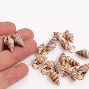 May include: A collection of small, beige and brown seashell charms with gold-colored loops. The charms are in various sizes and shapes, with a spiral design. Some are held in a hand, while others are scattered on a white surface.