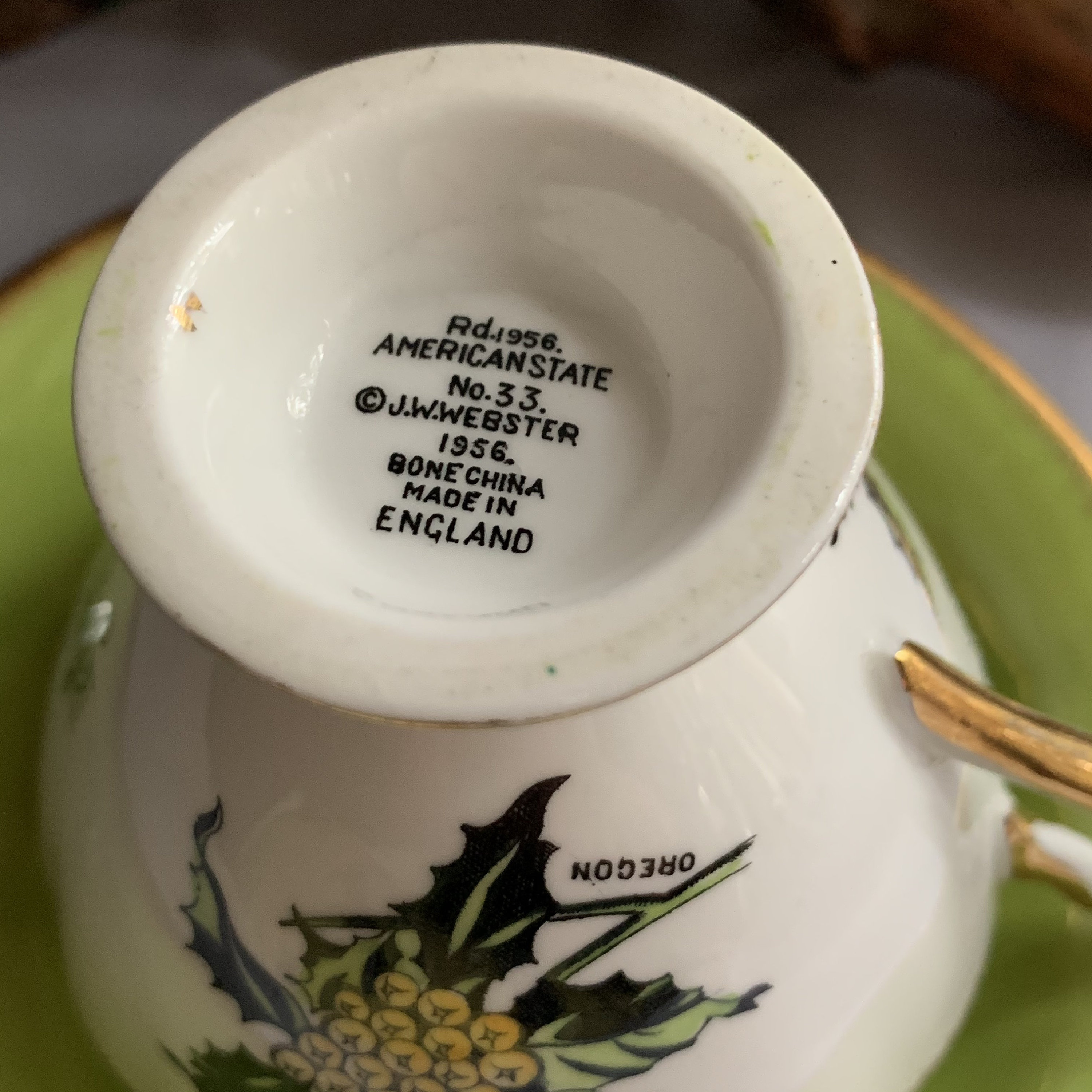 Vintage American State Flower Series Fine Bone China Teacup