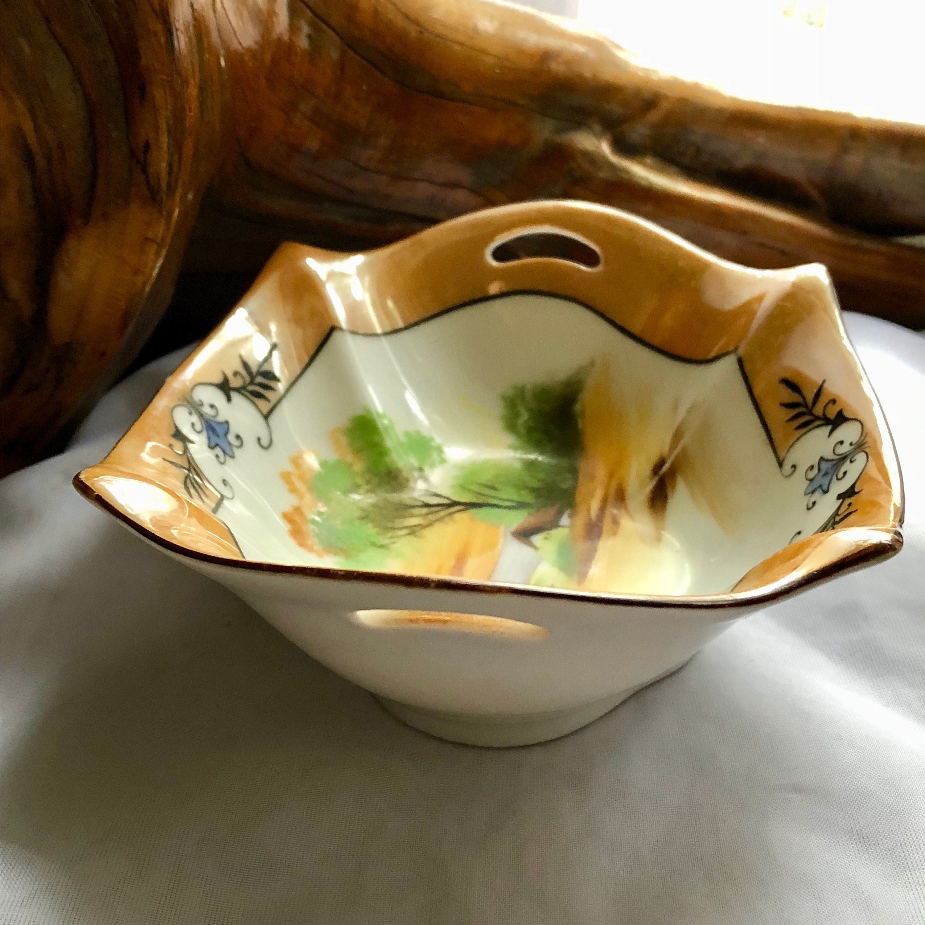 NORITAKE SHELDON 5821 Made in Japan 6