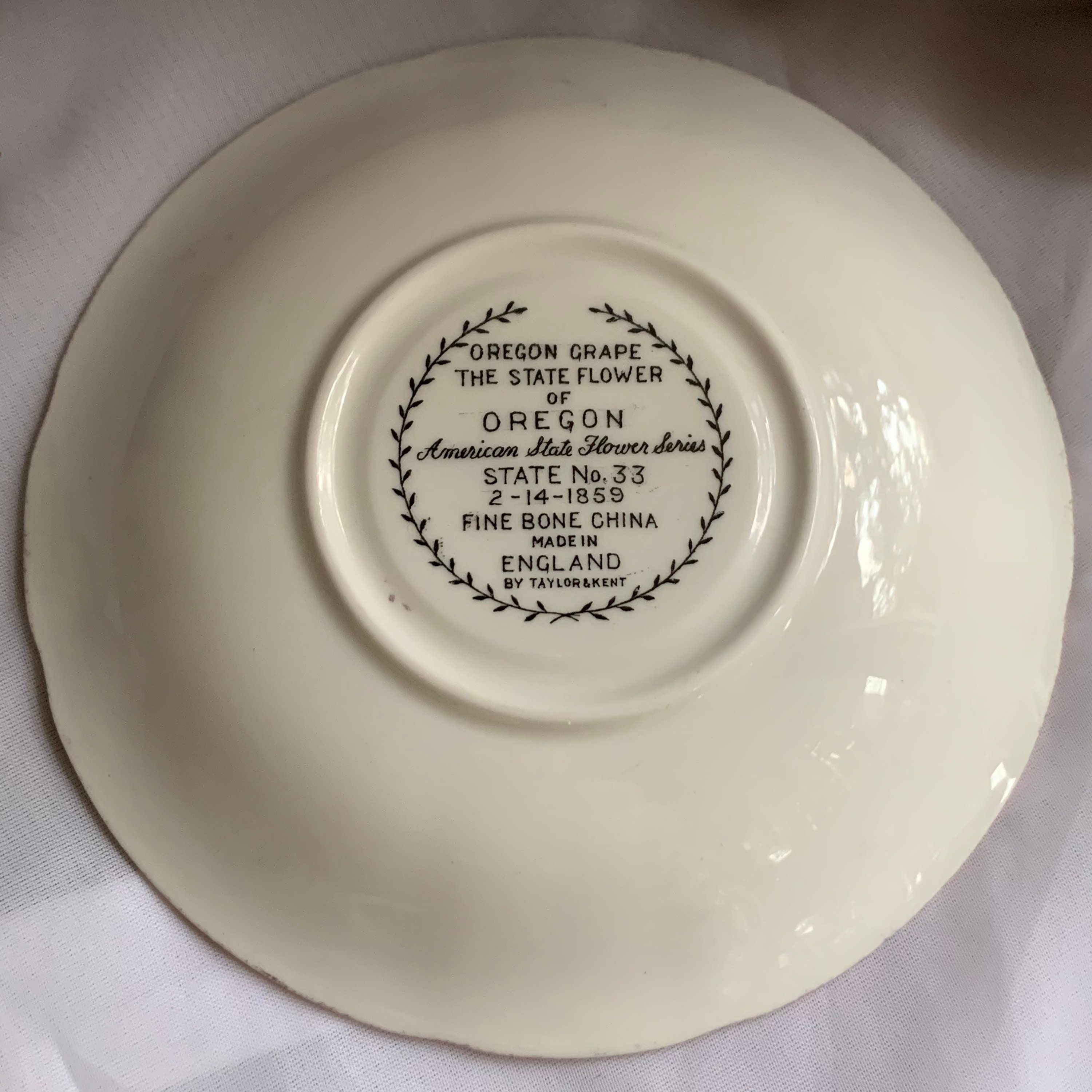 Vintage American State Flower Series Fine Bone China Teacup