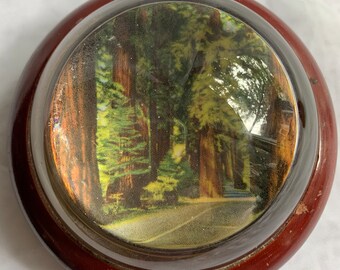 Vintage California Redwood Dome Glass Paperweight