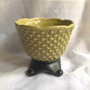 May include: An olive-green ceramic planter with a textured, dotted surface and a scalloped rim. It is supported by a black, three-legged base. This planter is suitable for small plants or succulents.
