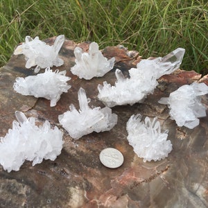 1 HIGHGRADE CRYSTAL CLUSTER | Clear Quartz Crystals | Crystals for Shelf | Raw Gem | Healing Stones | Spiritual Gifts | Crystals of Arkansas