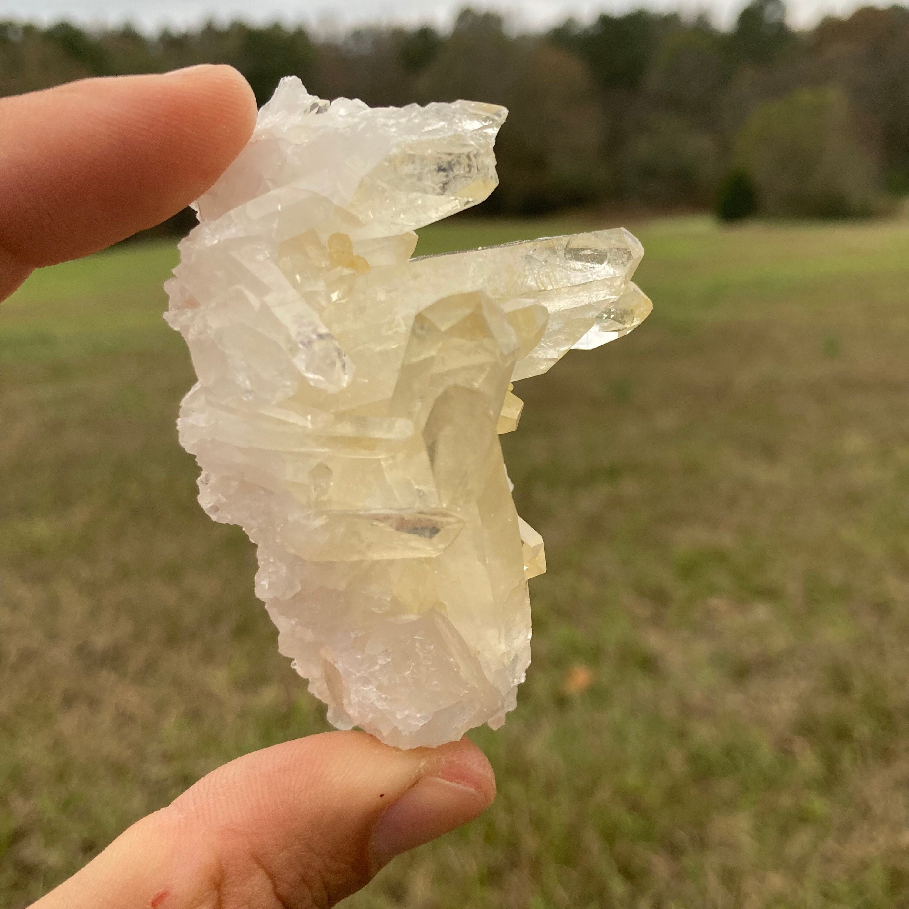 Golden Healer Arkansas Cluster - Etsy Golden Healer Arkansas Cluster - Etsy