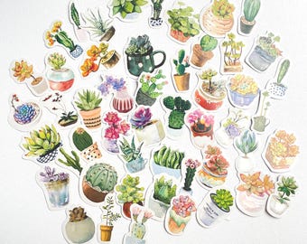 Op de afbeelding: Een verzameling van talloze gestanste stickers met aquarelillustraties van diverse cactussen en vetplanten in uiteenlopende potten, mokken en plantenbakken. De stickers tonen een breed scala aan groene, roze, oranje en paarse planttinten.