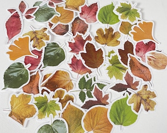 Leaves stickers, plant stickers, foliage stickers, journal notebook scrapbooking stickers. 46 pieces