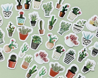 Op de afbeelding: Een verzameling gestanste stickers met aquarelillustraties van diverse cactussen en vetplanten in uiteenlopende potten, waaronder gestreepte, gestippelde en gedessineerde houders, weergegeven op een lichtgroene ondergrond.
