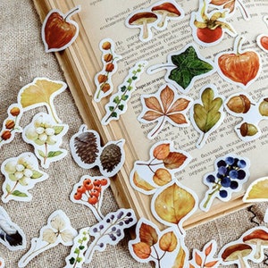 Pegatinas de otoño, pegatinas de bosques, pegatinas de plantas, pegatinas de setas, pegatinas de scrapbooking de cuadernos de diario. 46 piezas
