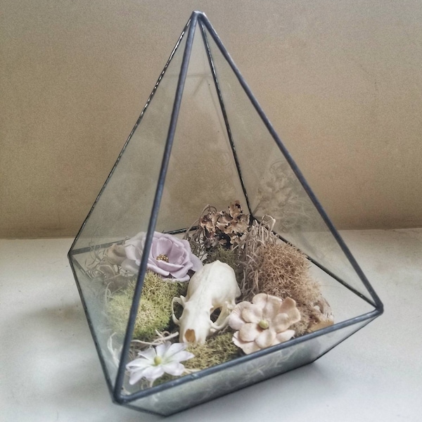 Mink Skull Terrarium, Moss, Flowers and Driftwood, Real Animal Skull, Bone Art, Oddities, Curiosities, Curio, Skull, Oddity, Momento Mori