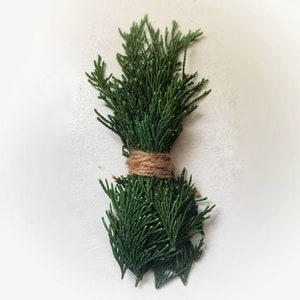 Fresh Cedar Bundle, Smudge Stick, Cedar Smudge, Cedar Stick, Meditation, Cleansing, Healing, Divination, Altar, Witch, Wiccan, Witchcraft