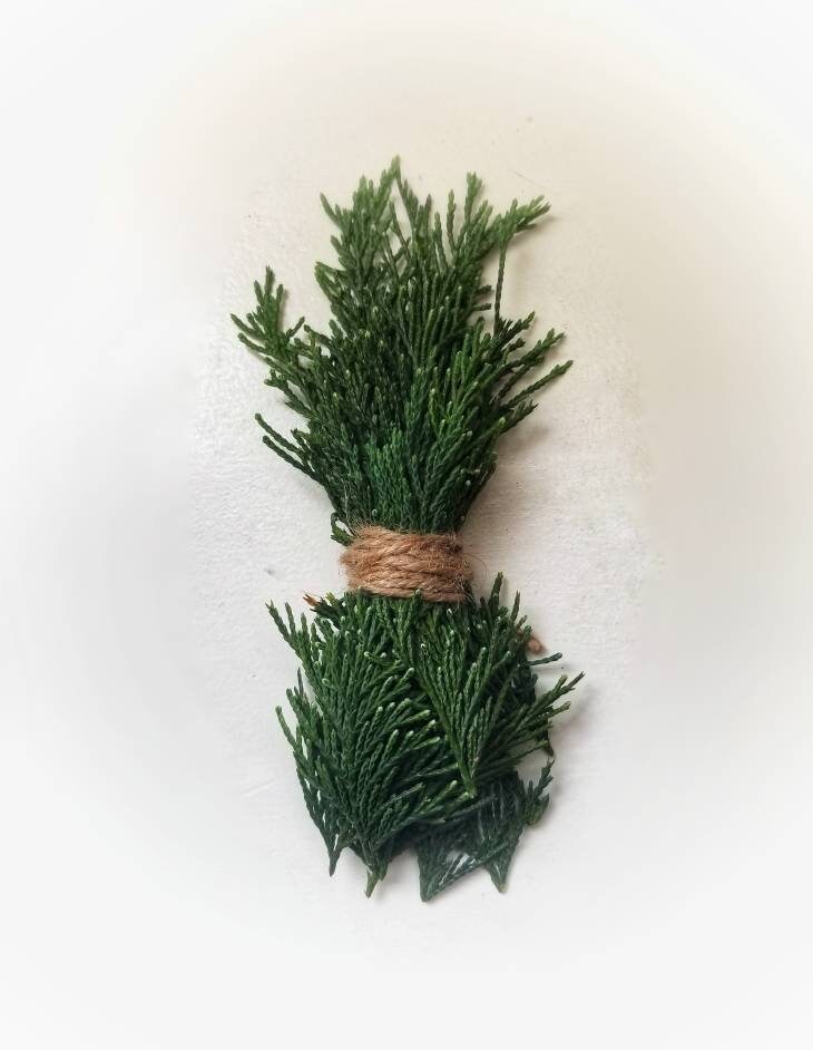 Fresh Cedar Bundle, Smudge Stick, Cedar Smudge, Cedar Stick, Meditation ...