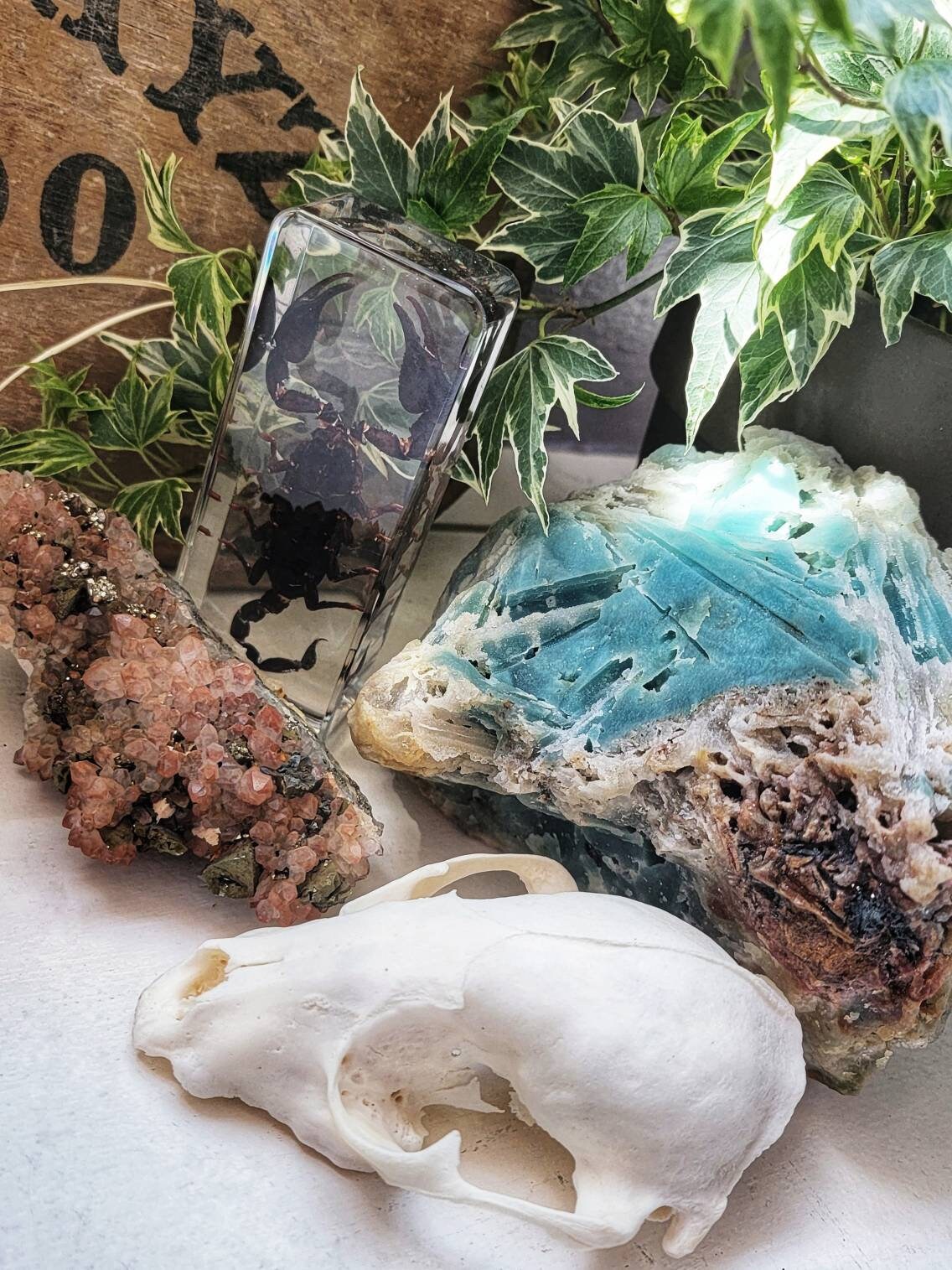 Witch and Wiccan Mystery Box, Curio Collection, Crystals, Bones, Herb…