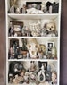 Oddities Mystery Box, Oddity, Surprise, Real Animal Skull,  Taxidermy, Insects, Curiosities, Momento Mori, Goth, Curio, Collection, Mystery 