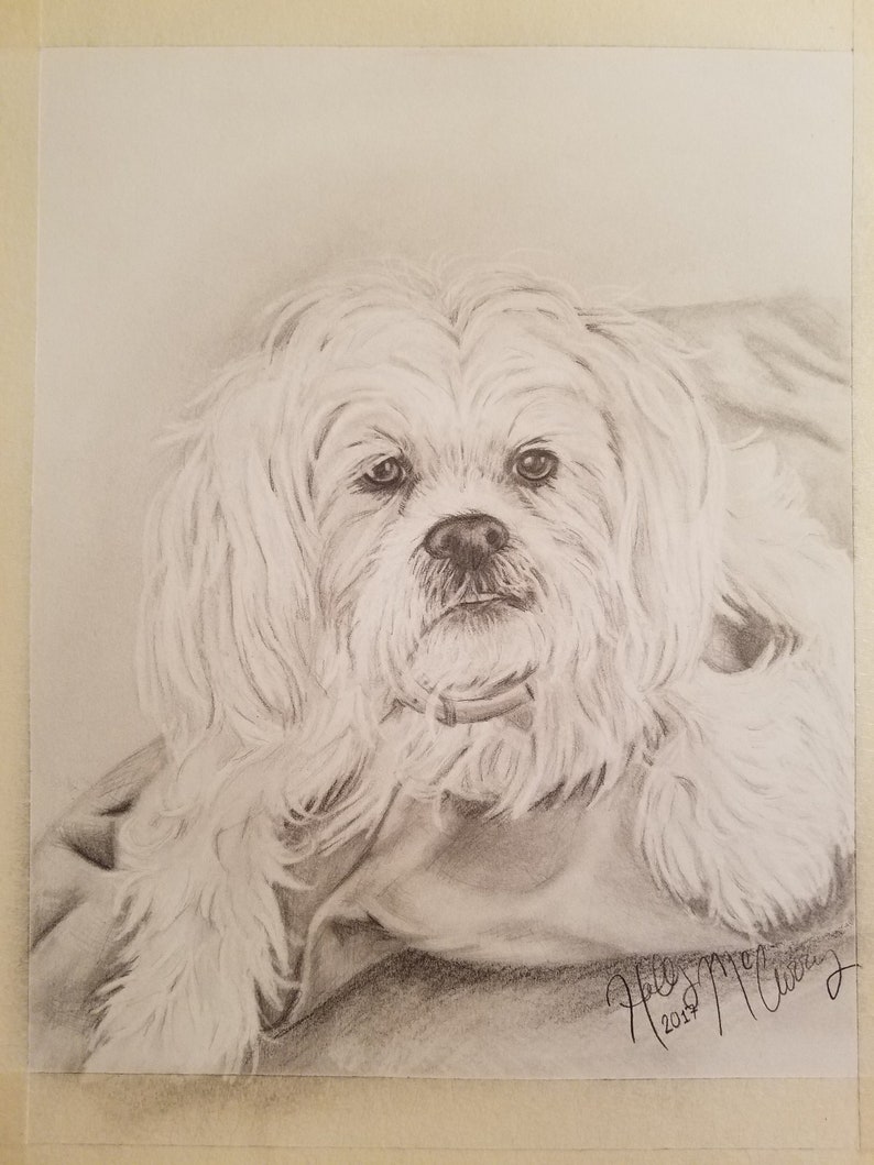 Pencil drawing and more Personalized gifts. Custom hand drawn portraits from photos of people pets