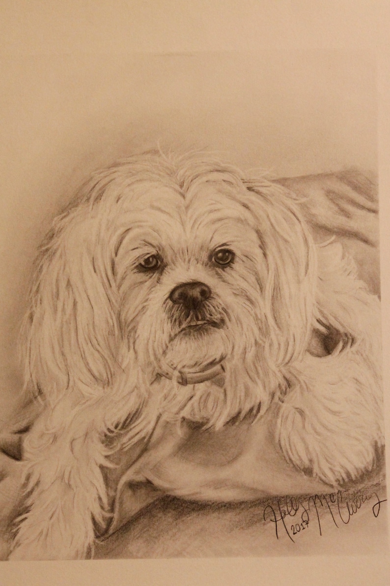 Pencil drawing and more Personalized gifts. Custom hand drawn portraits from photos of people pets