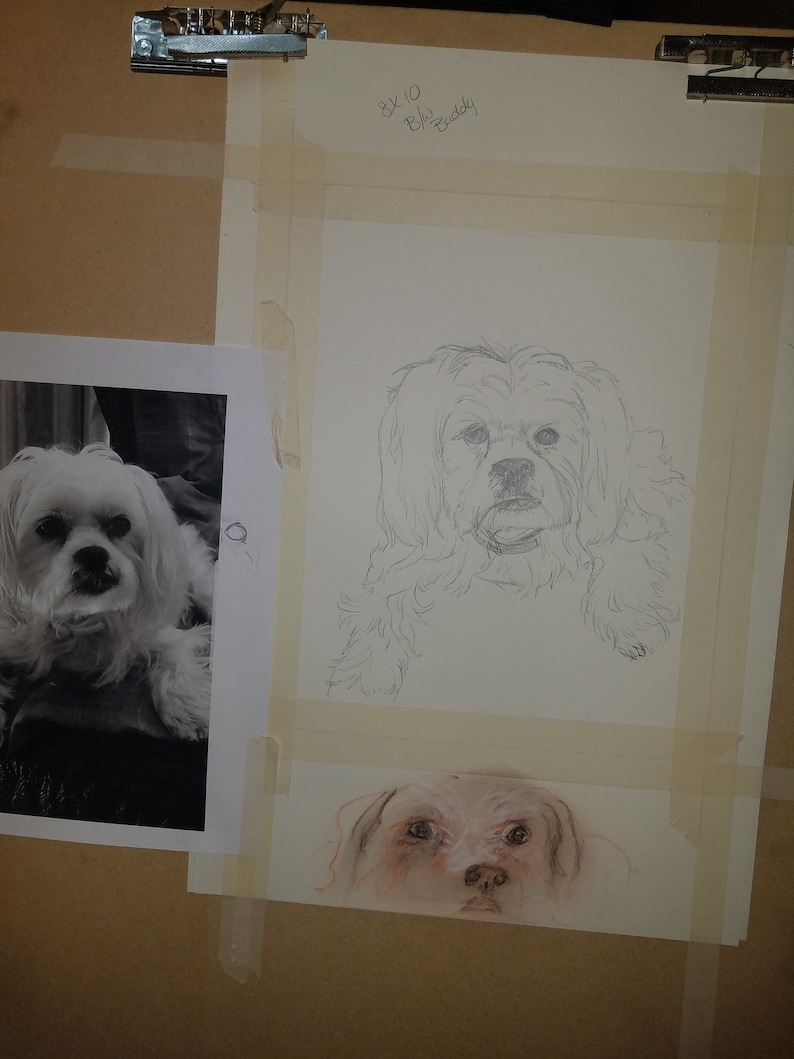 Pencil drawing and more Personalized gifts. Custom hand drawn portraits from photos of people pets