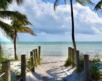 Può includere: Una passerella di legno conduce a una spiaggia sabbiosa con acqua blu limpida. Due palme incorniciano il percorso, creando una scena di paradiso tropicale.